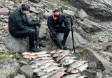Stefna um fiskeldi mótuð til 2040