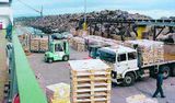 1.600 tonn af beitusmokki frá Falklandseyjum