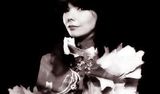 Safnplata með Björk
