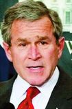 Bush ýtir rannsókn úr vör