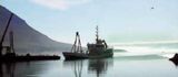 Um 400.000 tonnum af fiski landað í Fjarðabyggð