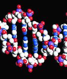 DNA í gegnum tónlist