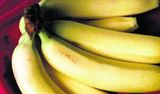 Eru bananarnir of grænir?